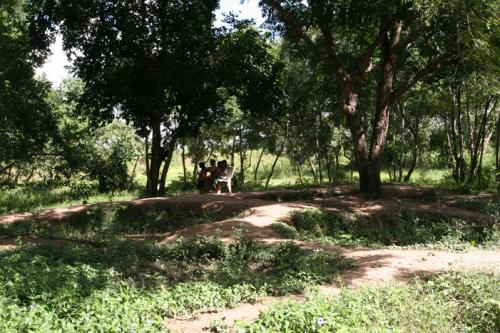 mass graves