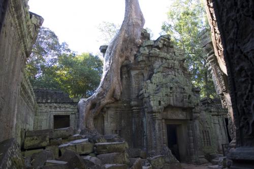 Tomb Raider set