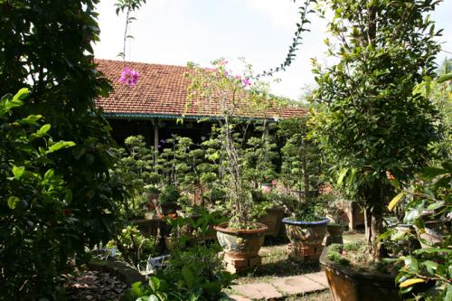 bonsai garden
