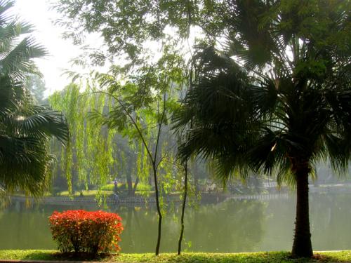 botanical gardens