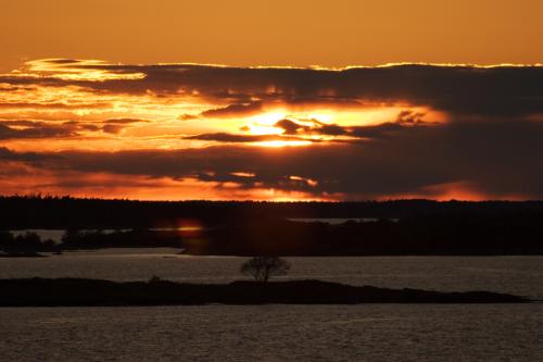 one-tree-island!