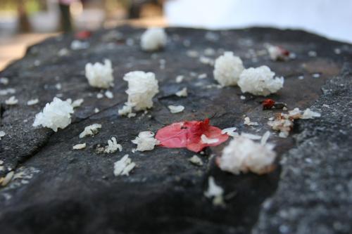 rice balls and petals