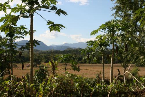otherside of river scenery