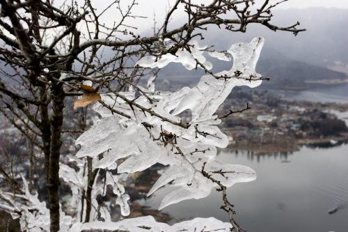icicle trees
