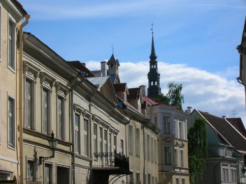 rooftop-tallinn
