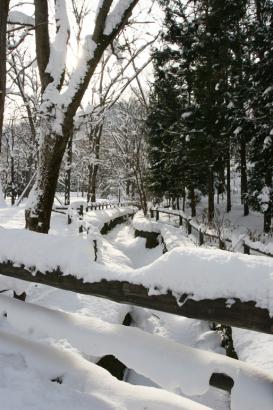 Hokkaido Shrine park