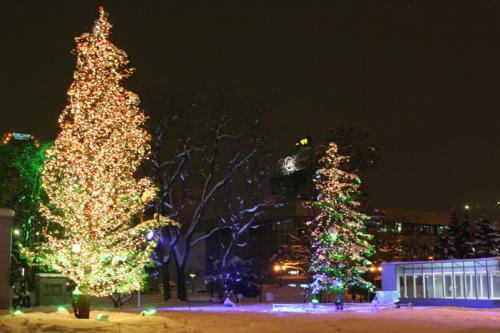 more Odori park