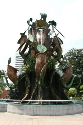 concrete tree waterfall