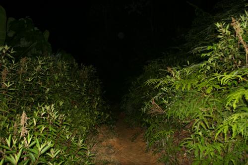 dark and scary!!