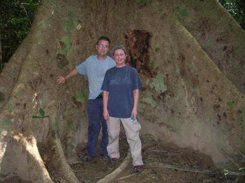 infront of big tree