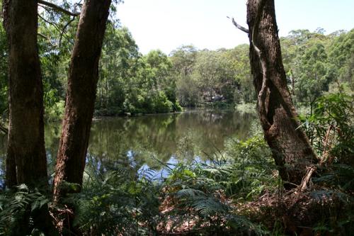 Lane Cove National Park