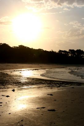 sunkissed beaches