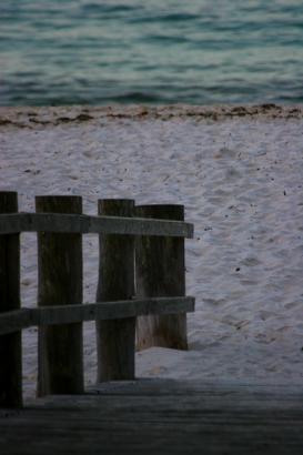 beach dreams