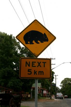 watch out for Wombats!!
