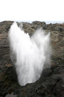 crazy blowhole