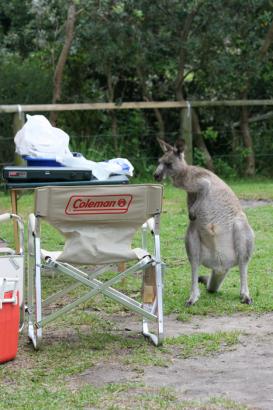cheeky!!