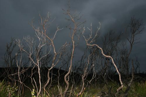 storm brewing