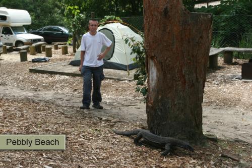 Rob and guana