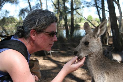 me and tame kangaroo