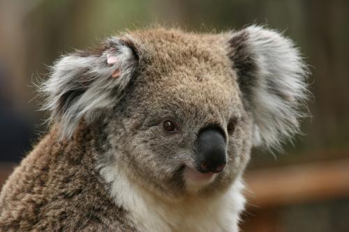 so close and soooo cute