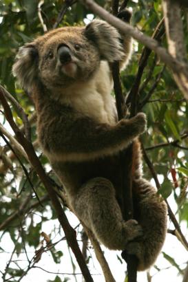 hanging around
