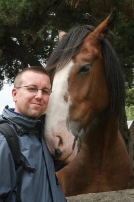 clydesdale cuddle