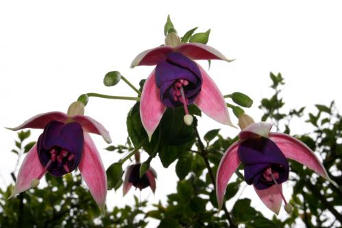 one for the gardeners!!