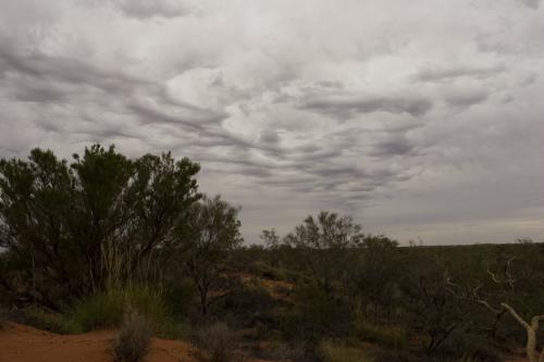 dramatic skies