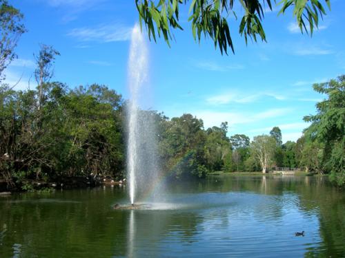 botanical gardens