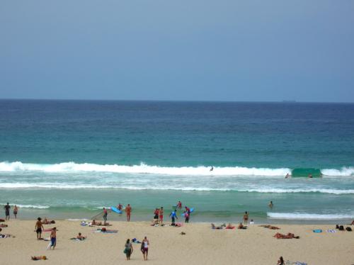 bondi surf