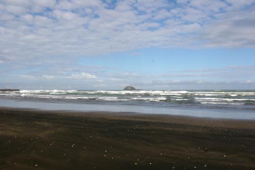 Muriwai black sand beach