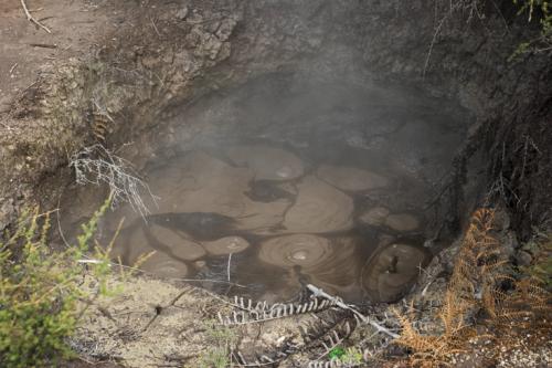 steamy mud pools