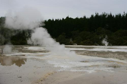 bizarre landscape