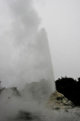 there she blows!!