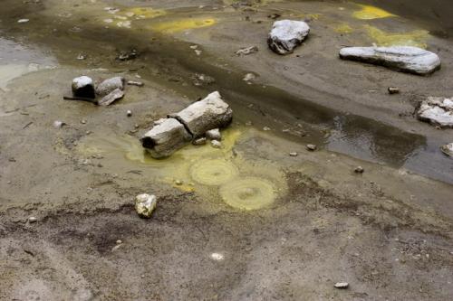 bubbling ground