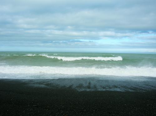 wild Napier breakers