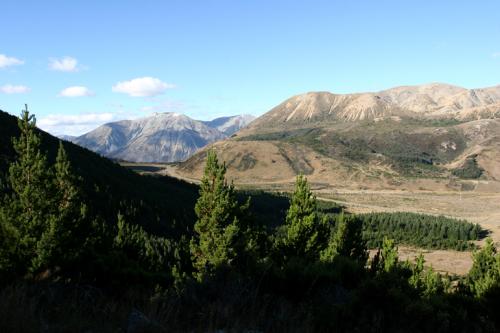 Craigieburn forest reserve