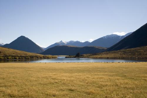 beginning of Arthur's Pass