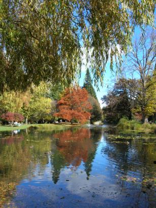 beautiful Queenstown