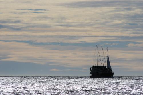 sailing ship