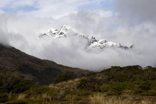 Mount Bonpland