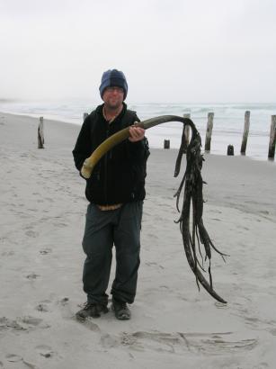 Rob and big seaweed