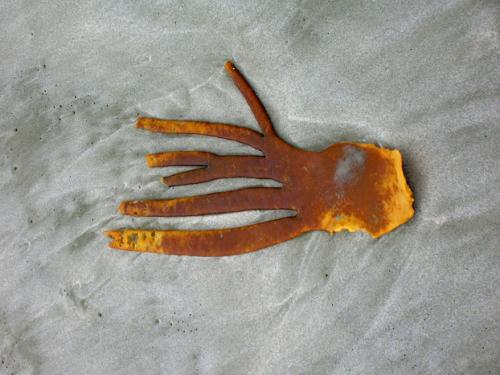 strange seaweed