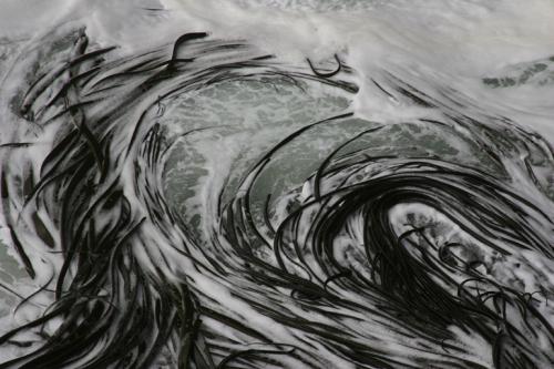 swirling seaweed