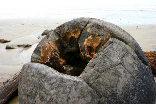 honeycomb centre