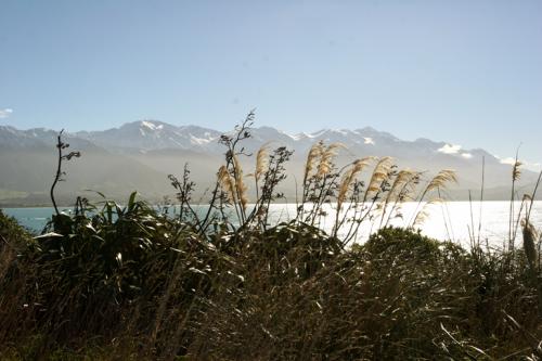 overlooking snowy mountains