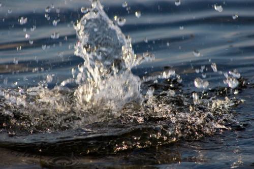 robs-arty-water