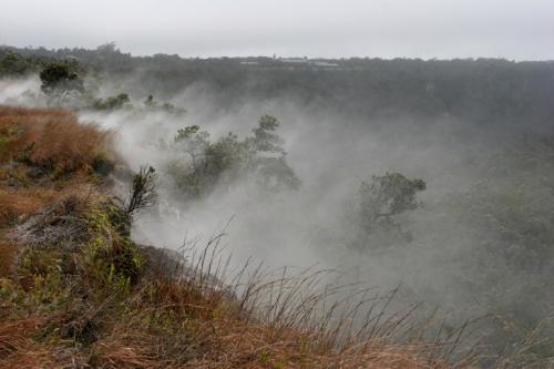 steaming bluff