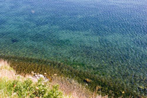 clear-water