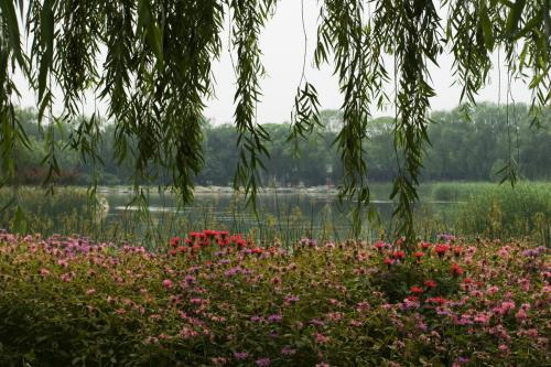 summer-palace-7